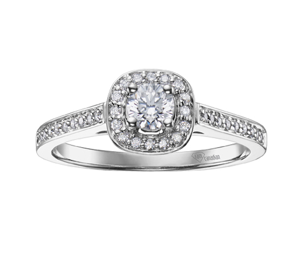 BAGUE EN OR 10K BLANC SERTIE D'UN DIAMANT CANADIEN ET DE DIAMANTS - CR AM191W35 - DIAMANT CANADIEN BAGUE EN OR 10K BLANC SERTIE D'UN DIAMANT CANADIEN ET DE DIAMANTS - CR AM191W35 - DIAMANT CANADIEN