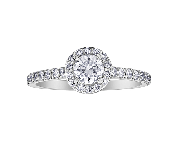 BAGUE EN OR BLANC SERTIE D'UN DIAMANT CANADIEN ET DE DIAMANTS - CR ML830W75 - DIAMANT CANADIEN BAGUE EN OR BLANC SERTIE D'UN DIAMANT CANADIEN ET DE DIAMANTS - CR ML830W75 - DIAMANT CANADIEN