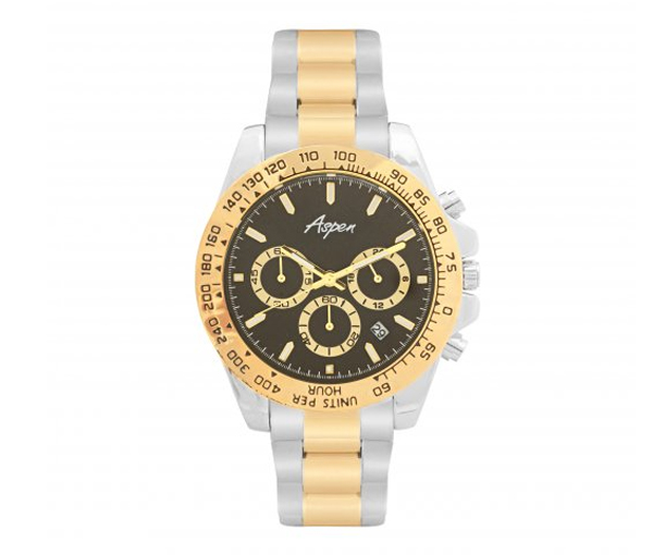 MONTRE ASPEN EN ACIER/PVD OR 2 TONS - BA AP3173/5 - ASPEN