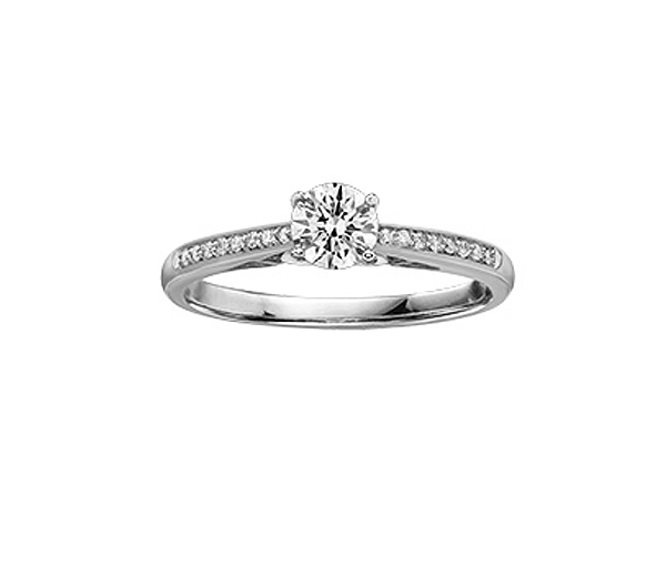 BAGUE EN OR SERTIE D'UN DIAMANT CANADIEN ET DE DIAMANTS - CR AM324WW50 - DIAMANT CANADIEN