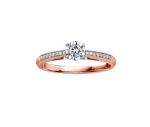 BAGUE EN OR SERTIE D'UN DIAMANT CANADIEN ET DE DIAMANTS - CR AM324RW50 - DIAMANT CANADIEN