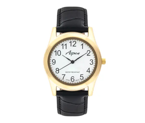 MONTRE POUR HOMME ASPEN EN ACIER/PVD OR - BA AP3011NR - ASPEN
