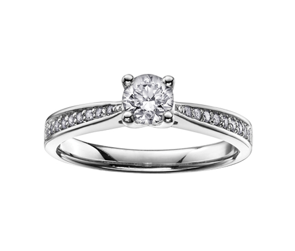 BAGUE EN OR BLANC SERTIE D'UN DIAMANT CANADIEN ET DE DIAMANTS - CR AM159W50 - DIAMANT CANADIEN
