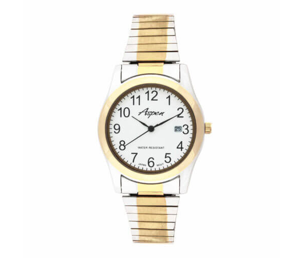 MONTRE POUR HOMME ASPEN EN ACIER/PVD OR 2 TONS - BA AP3037 - ASPEN