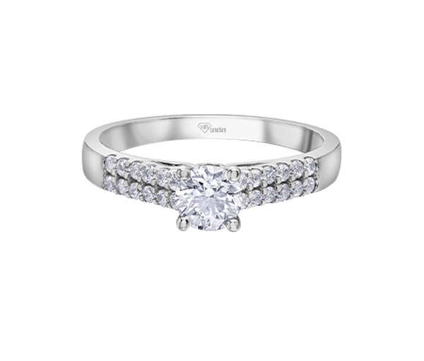 BAGUE EN OR 14K BLANC SERTIE D'UN DIAMANTS CANADIEN ET DE DIAMANTS - CR AM573W77 - DIAMANT CANADIEN