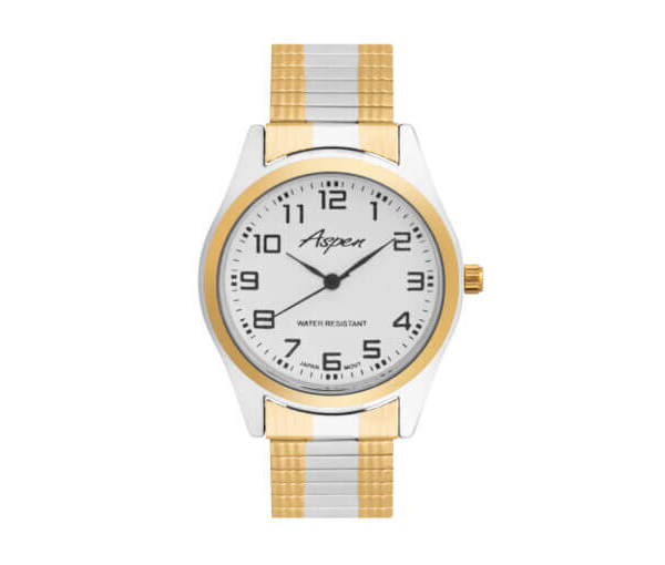 MONTRE POUR HOMME ASPEN EN ACIER/PVD OR 2 TONS - BA AP3079 - ASPEN