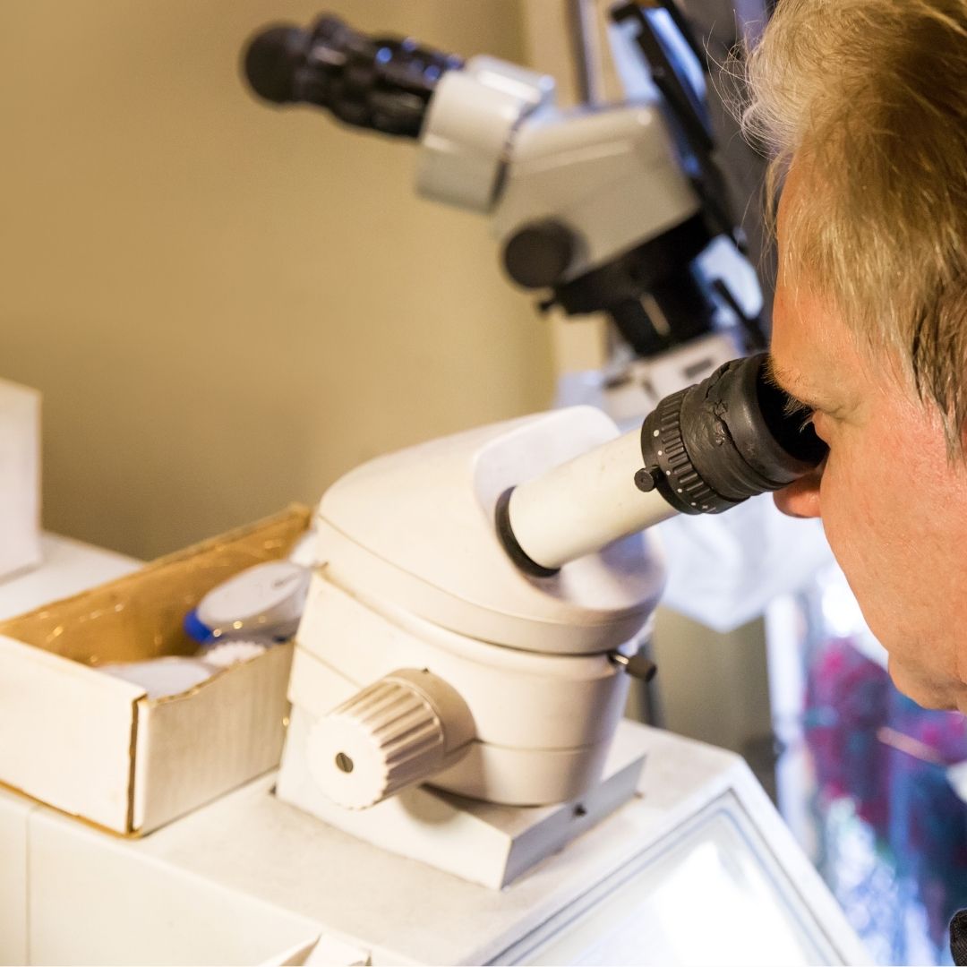 Bijouterie Suisse - Bijoutier depuis 80 ans