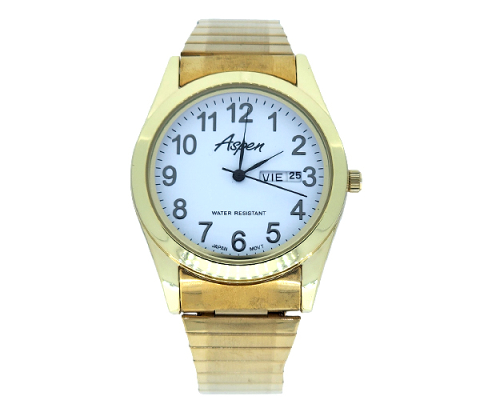 MONTRE POUR HOMME ASPEN EN ACIER/PVD OR - BA AP3031 - ASPEN
