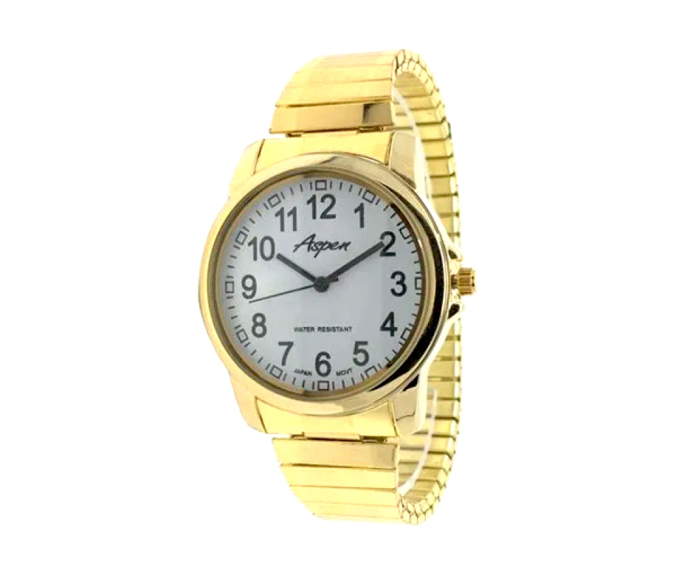 MONTRE POUR HOMME ASPEN EN ACIER/PVD OR - BA AP3026 - ASPEN