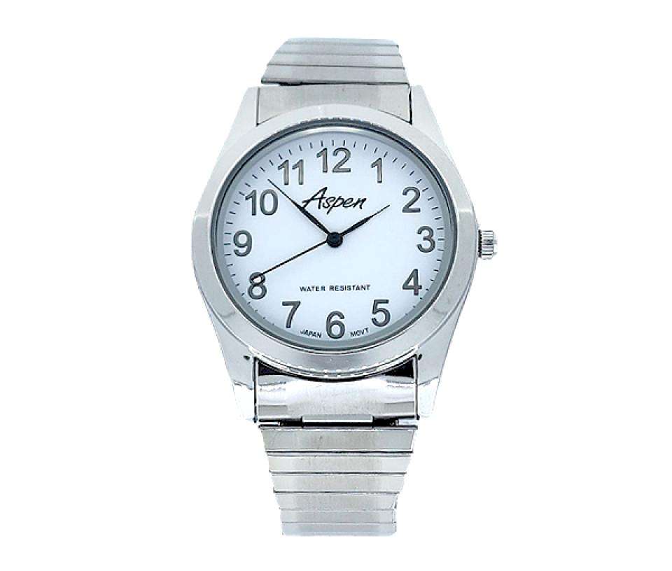 MONTRE ASPEN POUR HOMME EN ACIER - BA AP3006 - ASPEN